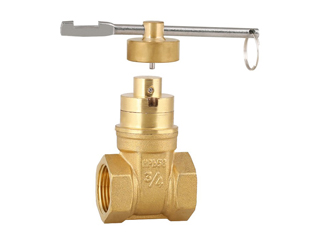 Magnetic gate valve