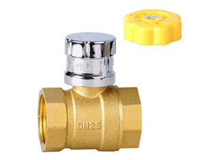 216 magnetic locking valve