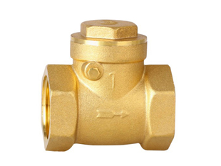Horizontal check valve
