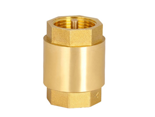 Vertical check valve