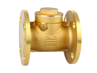 Flange check valve